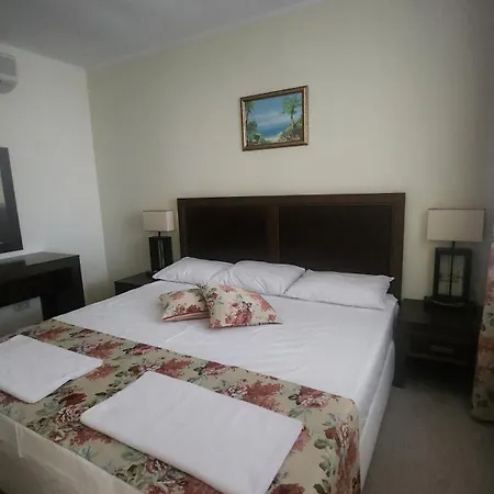 Sunset C8-24 * ポモリエ